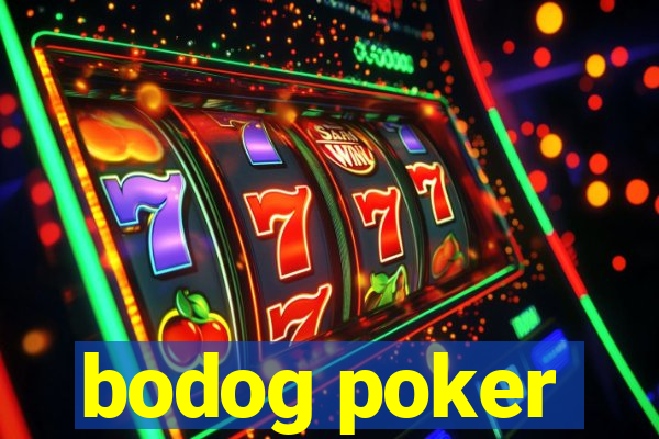 bodog poker