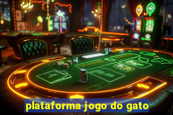 plataforma jogo do gato