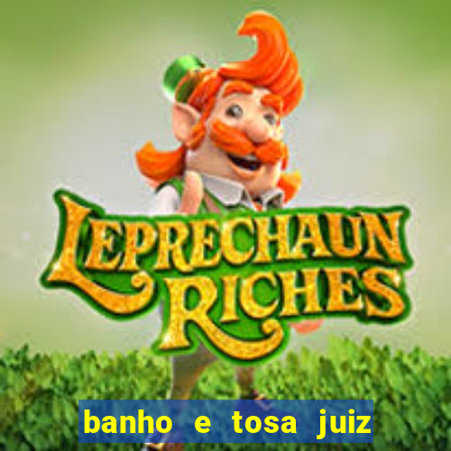 banho e tosa juiz de fora