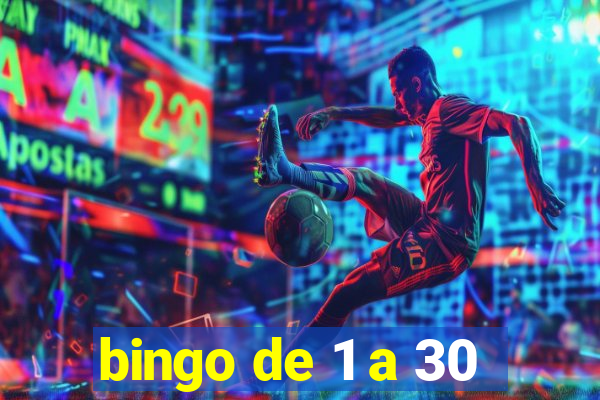 bingo de 1 a 30