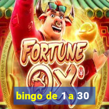 bingo de 1 a 30