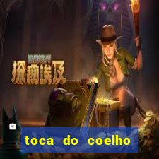 toca do coelho mogi das cruzes