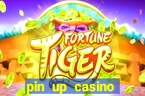 pin up casino login india