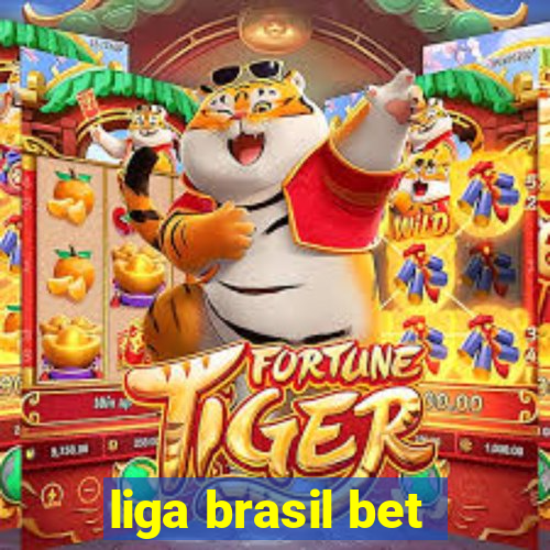 liga brasil bet