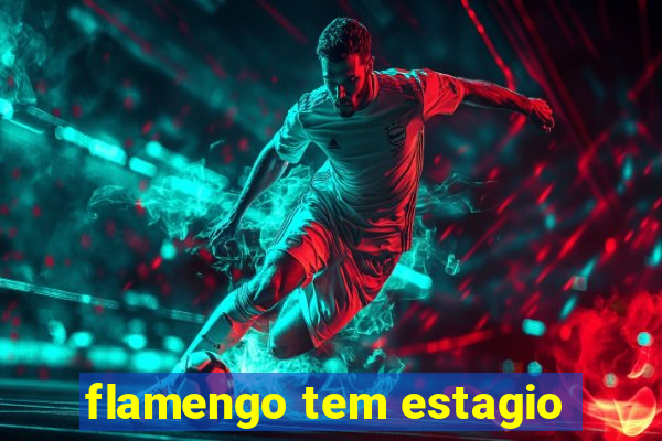 flamengo tem estagio