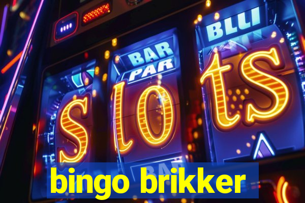 bingo brikker