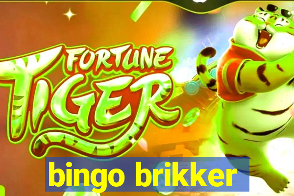 bingo brikker