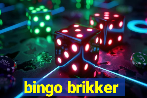 bingo brikker