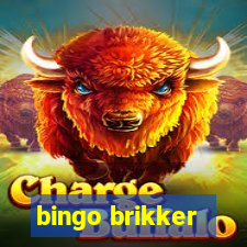 bingo brikker