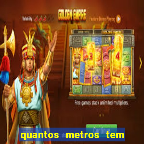 quantos metros tem o neymar