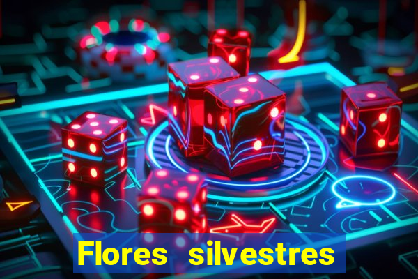 Flores silvestres brasileiras brasileiras flores silvestres nomes e imagens