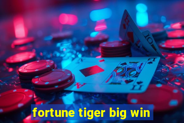 fortune tiger big win