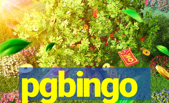 pgbingo