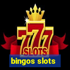 bingos slots