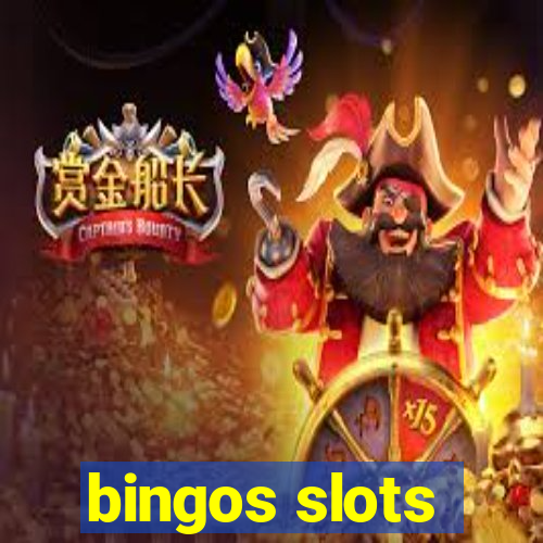 bingos slots