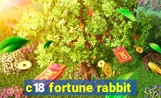 c18 fortune rabbit