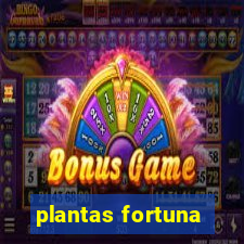 plantas fortuna