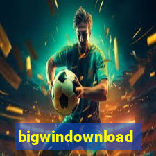 bigwindownload