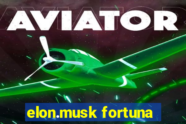 elon.musk fortuna