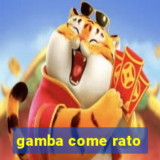 gamba come rato