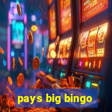 pays big bingo