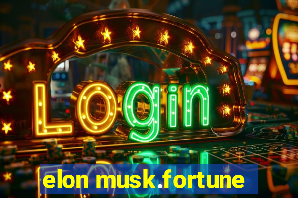 elon musk.fortune