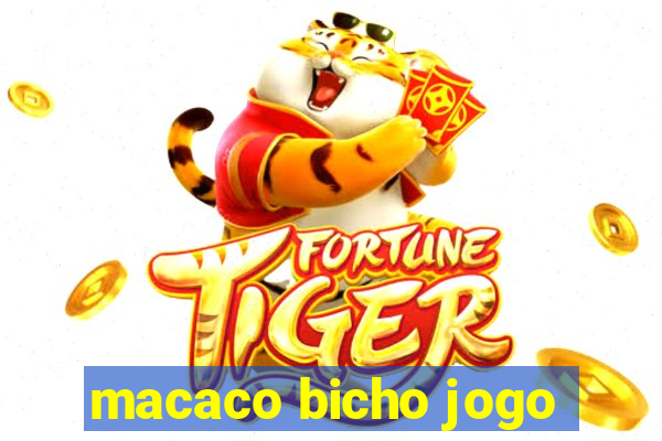 macaco bicho jogo