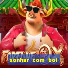 sonhar com boi jogo do bicho