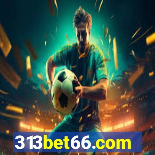 313bet66.com