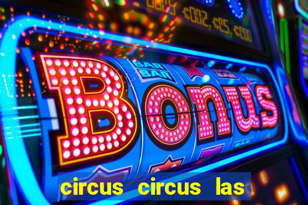 circus circus las vegas hotel and casino