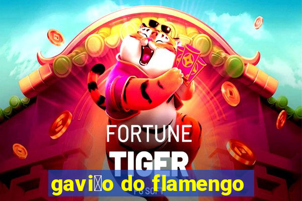 gavi茫o do flamengo