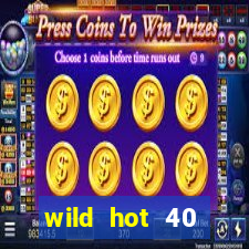 wild hot 40 christmas slot