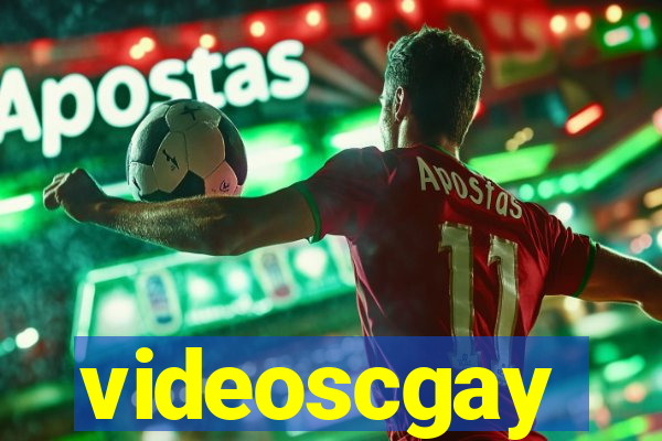 videoscgay