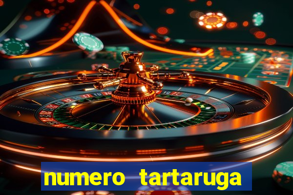 numero tartaruga jogo do bicho