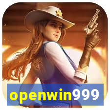 openwin999