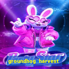 groundhog harvest pg slot