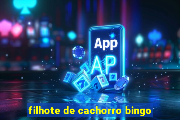 filhote de cachorro bingo