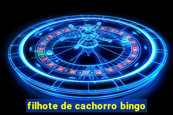 filhote de cachorro bingo