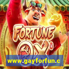 www.gayforfun.com