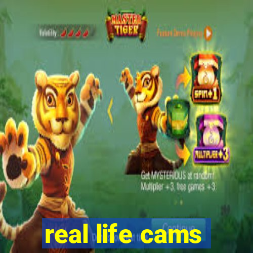 real life cams