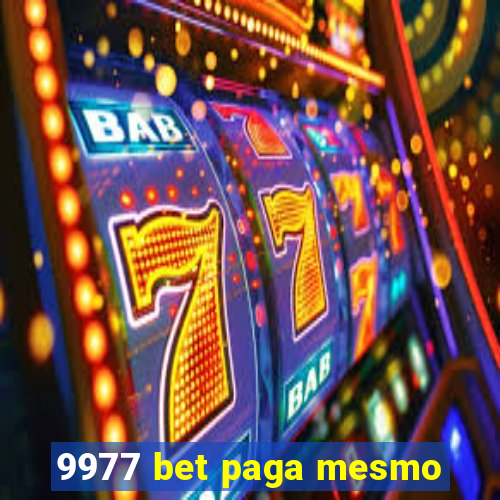 9977 bet paga mesmo