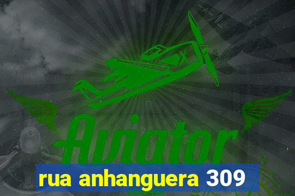 rua anhanguera 309