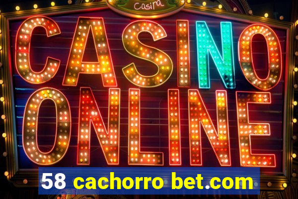 58 cachorro bet.com