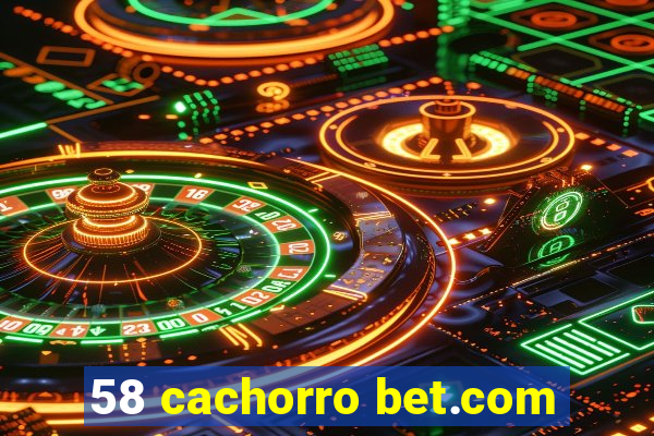 58 cachorro bet.com