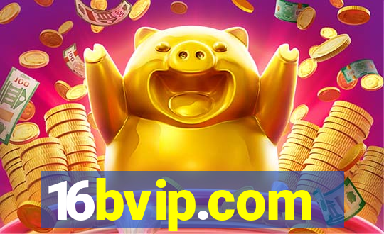 16bvip.com