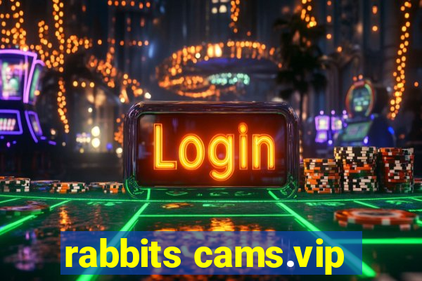 rabbits cams.vip