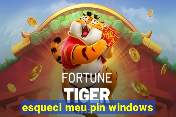 esqueci meu pin windows