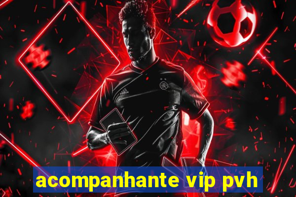 acompanhante vip pvh