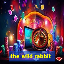 the wild rabbit