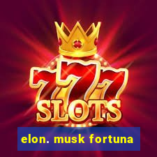 elon. musk fortuna